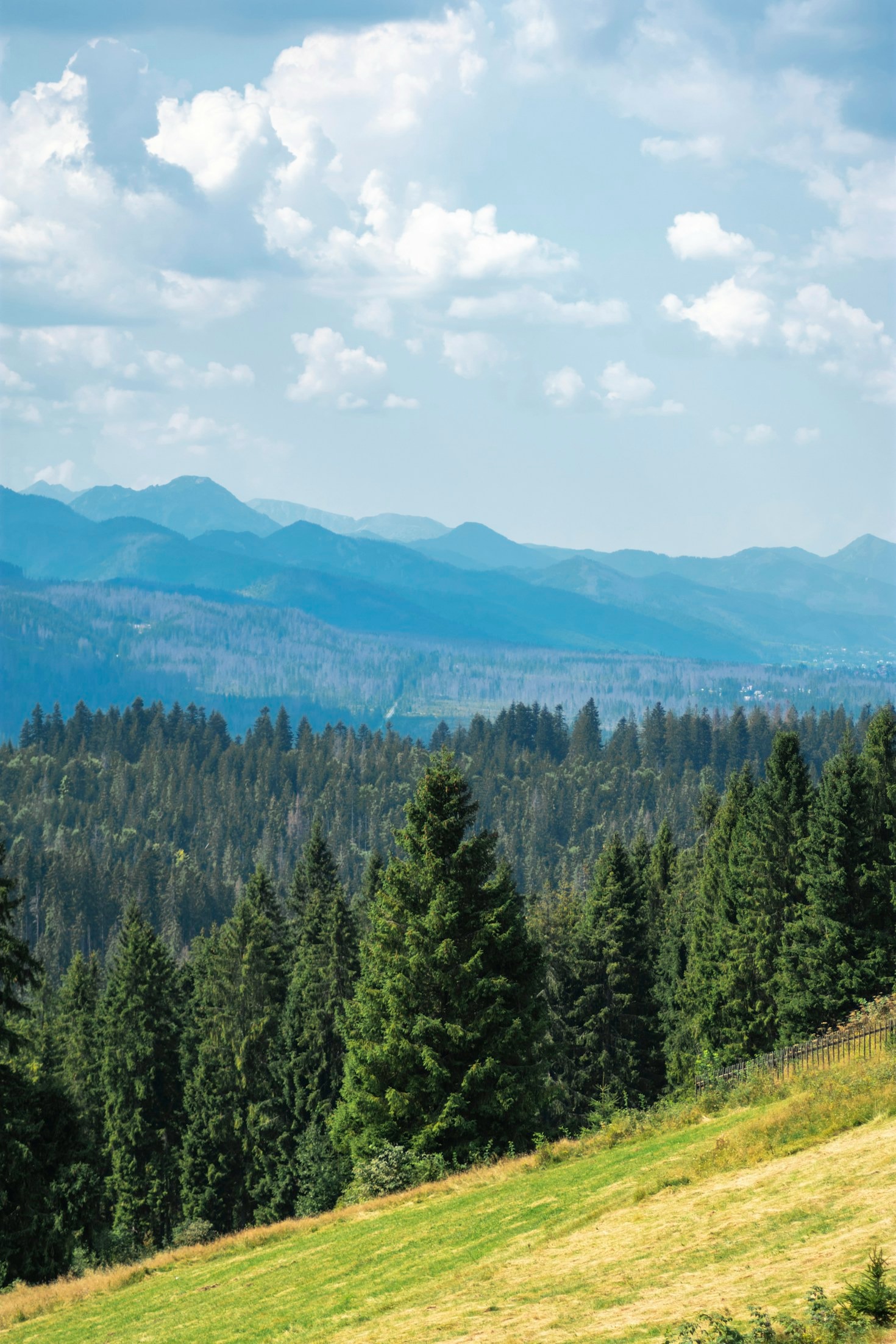 Odkrywając Beskid Sądecki ze Skrudziny