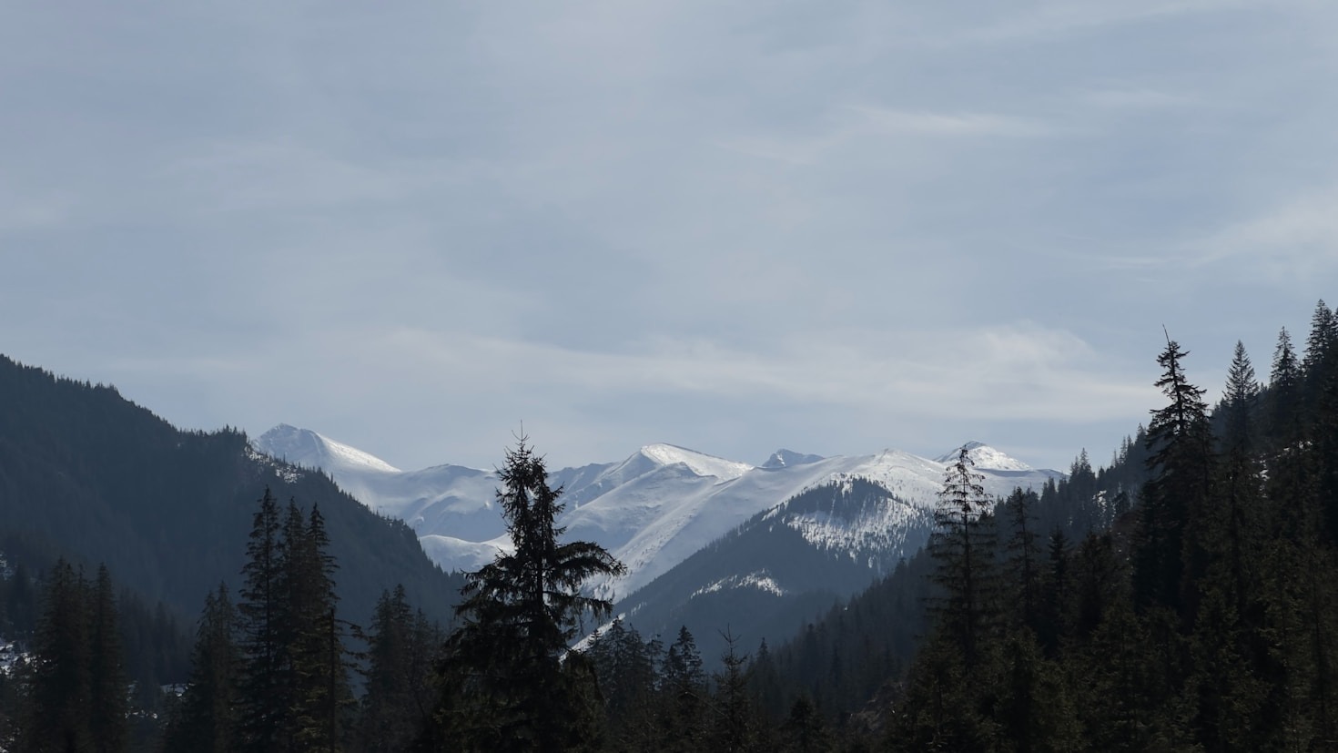 Raj dla miłośników przyrody – Skrudzina