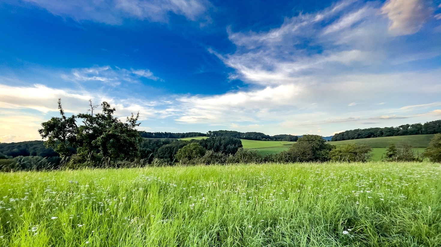 Raj dla miłośników przyrody – Skrudzina