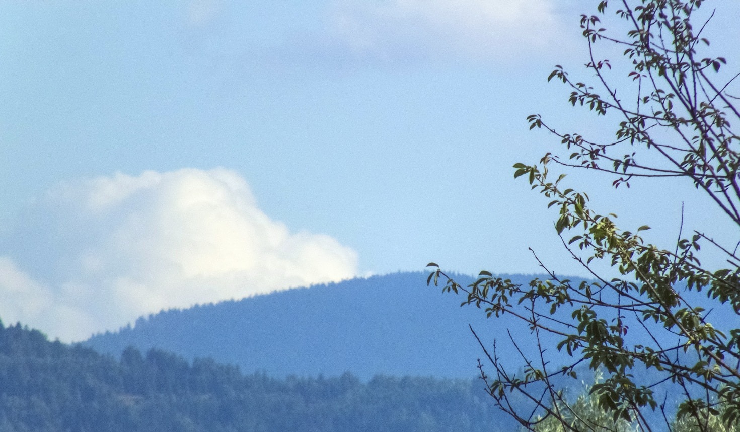 Skrudzina jako idealne miejsce na rodzinny wypad