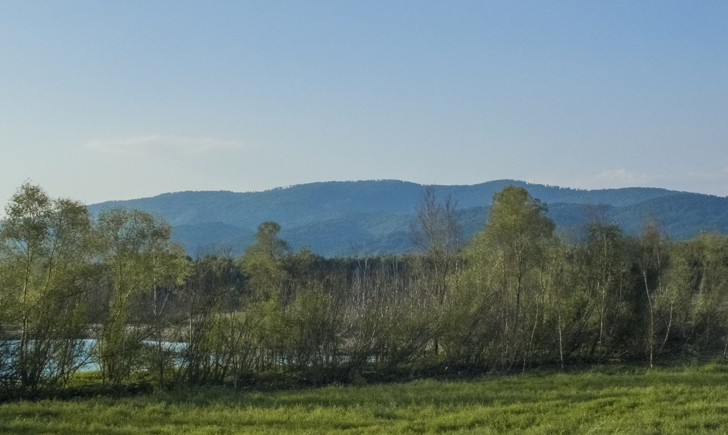 Sezonowe wydarzenia i festiwale w Skrudzinie